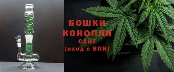 молекула духа Арсеньев