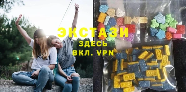 молекула духа Арсеньев