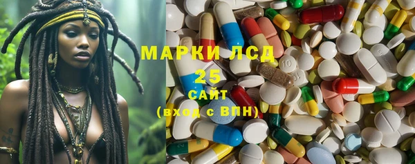 молекула духа Арсеньев