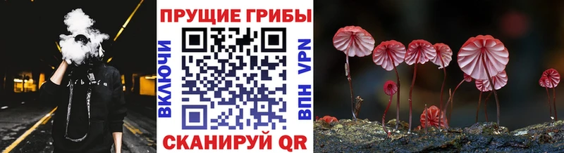 Купить закладки  Нововоронеж  Галлюциногенные грибы мухоморы 